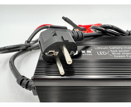 Зарядное устройство BatteryCraft Lifepo4 12в 20А